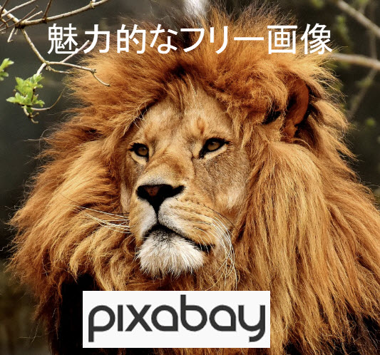 魅力的なフリー画像 pixabay