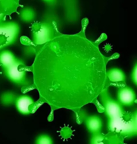 新型コロナウイルス感染症の対応について 