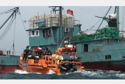 北朝鮮海域の中国「黒い船団」　実体明らかに… 違法操業で韓日両国分のイカ漁獲量 