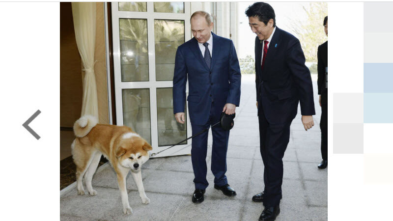 この記事の真偽は?→ゼレンスキー大統領「プーチンには噛みつかない」発言で安倍元首相が注目されるナゼ?